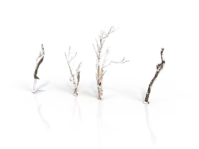 Leafless Plant Branches With Various Colors On White Background And White Bases 3d model