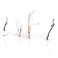 Leafless Plant Branches With Various Colors On White Background And White Bases 3d model