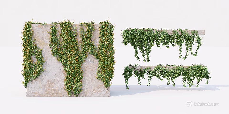 Living Green Plant Wall With Light Colored Concrete Surface Climbing Plants And Hanging Vines Design 3d model 