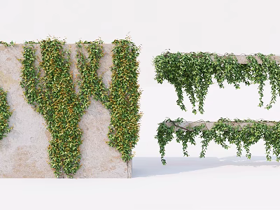 Living Green Plant Wall With Light Colored Concrete Surface Climbing Plants And Hanging Vines Design 3d model