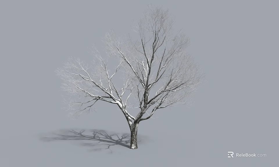 Leafless Tree With Thick Trunk Spreading Branches And Shadow On Gray Ground 3d model 