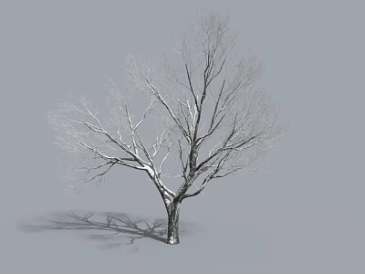 Leafless Tree With Thick Trunk Spreading Branches And Shadow On Gray Ground 3d model