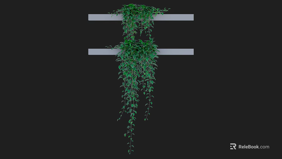 Lush Hanging Vines with Green Leaves Growing on Horizontal Bars Against Dark Background 3d model 