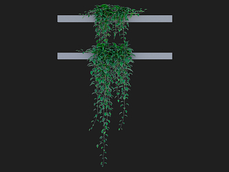 Modern Vine Climbing Vine 3d model