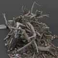 Pile of Dry Plant Roots and Branches With Wooden Stumps in Natural Setting