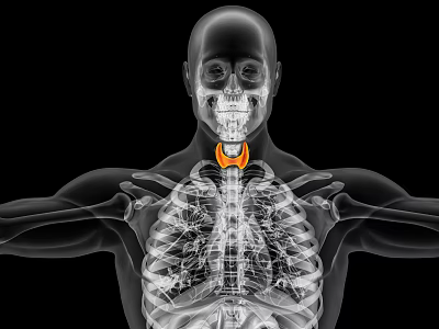 Medical Device for Neck Treatment Visualized in X Ray Human Skeleton 3d model