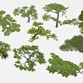 Multiple Arbor Trees with Different Forms and Green Foliage on White Background 3d model