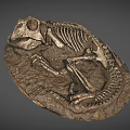 Prehistoric Dinosaur Skeleton Fossil Preserved In Rock Matrix With Complete Remains