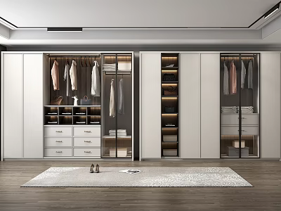 Modern Wardrobe Design With Storage Drawers Hanging Rods And Glass Doors 3d model