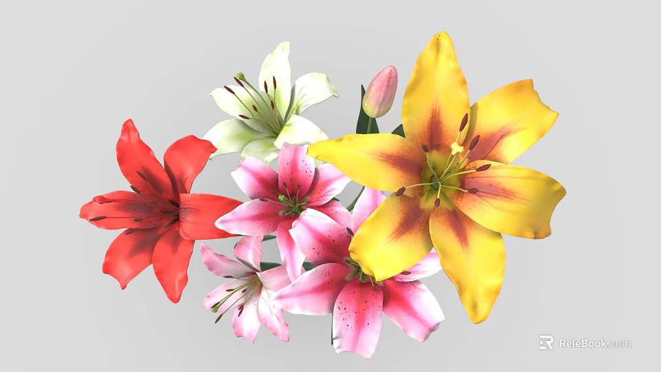 Colorful Lily Flowers Red White Pink Yellow Blooming Fresh Beautiful Garden Plants 3d model 
