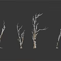 Leafless Plant Branches With Various Colors On White Background And White Bases 3d model