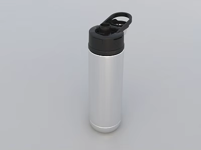 Silver Aluminum Water Bottle With Black Lid And Handle Design 3d model