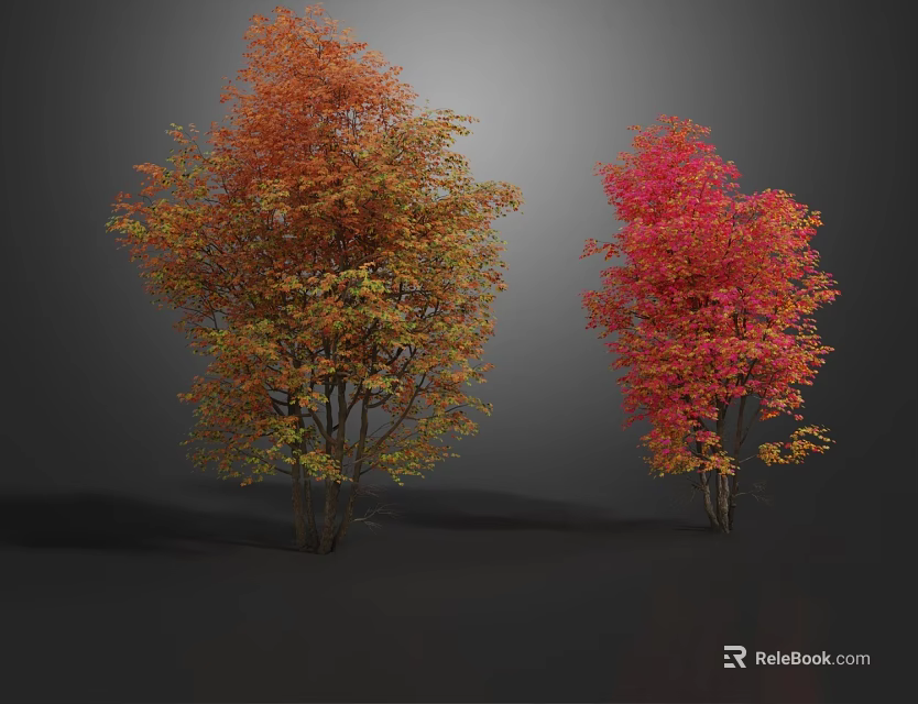 Vibrant Deciduous Trees with Orange Red Yellow and Bright Red Leaves on Gray Background 3d model 