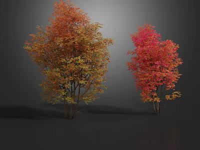 Vibrant Deciduous Trees with Orange Red Yellow and Bright Red Leaves on Gray Background 3d model