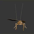 Golden Metallic Ant Sculpture With Long Antennae On Dark Reflective Background