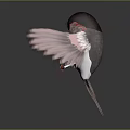 Pink Bird Shaped Decorative Household Item With Inner Scene And Feather Wings