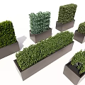 Modern Rectangular Flower Planters With Trimmed Green Shrubs For Outdoor Landscaping 3d model