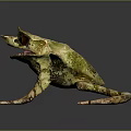 Unique Horned Frog With Green Brown Skin Crawling On Dark Surface