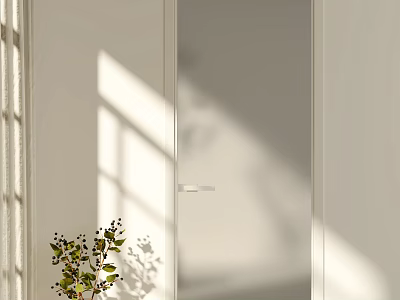 White Frosted Glass Swing Door With Sunlight Light Shadow And Green Plant 3d model