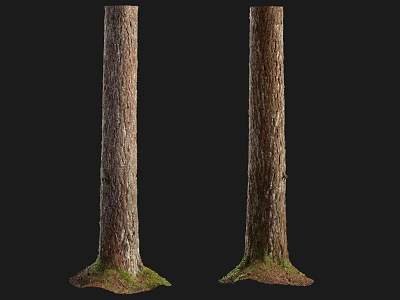 Natural Wood Tree Trunks With Stone Like Base And Green Moss Details 3d model