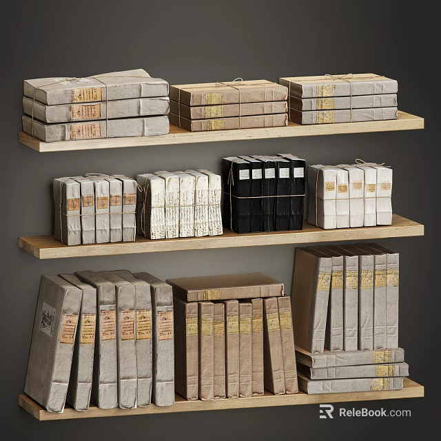 Neatly Arranged Books Collection On Wooden Shelves With Various Color Covers 3d model 