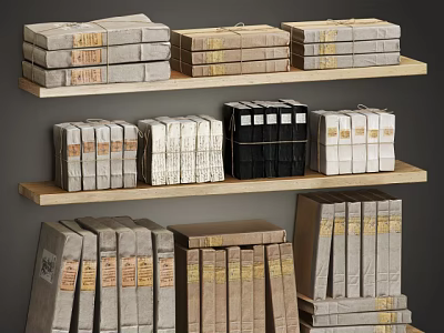 Neatly Arranged Books Collection On Wooden Shelves With Various Color Covers 3d model