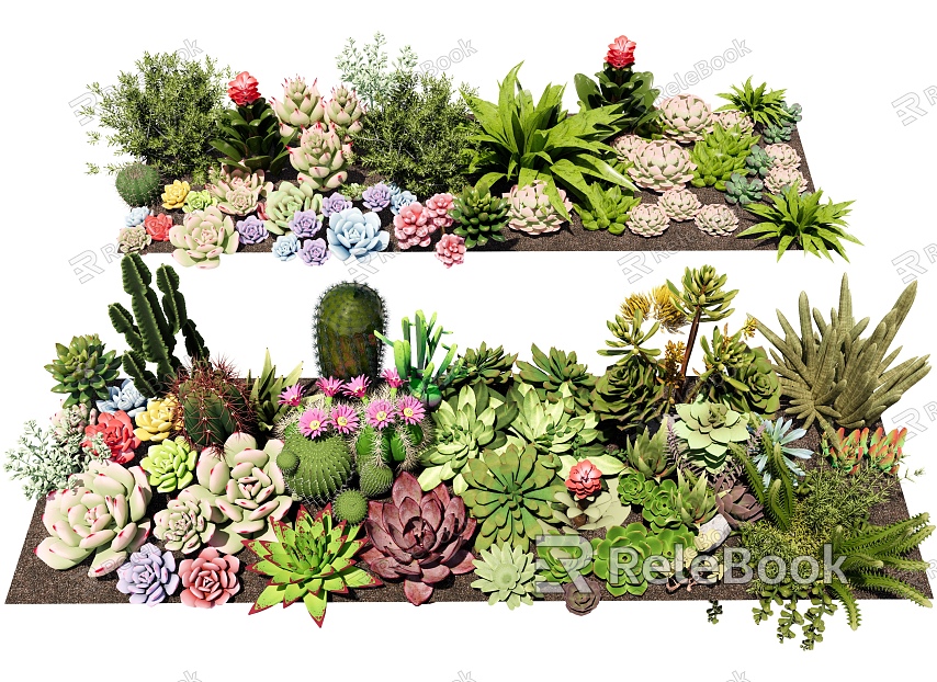 cactus combination succulent plant cactus landscape plant green plant potted garden indoor plants flowers and plants model