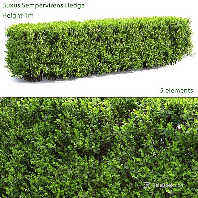 Decorative Garden Elements Featuring Dense Green Shrubs And Lush Foliage 3d model 