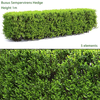 Decorative Garden Elements Featuring Dense Green Shrubs And Lush Foliage 3d model