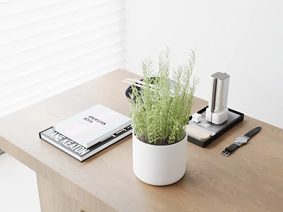 Stylish Decorative Ornament Set with Green Plant Magazines Tray Fragrance and Watch on Wooden Table 3d model