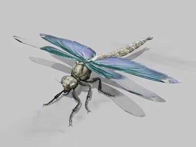 Realistic Dragonfly with Vibrant Blue and Purple Transparent Wings and Green Body as Flying Insect 3d model