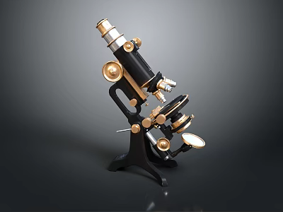 Vintage Microscope With Brass Components Black Metal Base And Optical Lenses 3d model