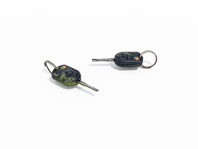 Green And Black Keys With Key Rings And Functional Design Features 3d model