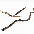 Curved Textured Wood Branches With Rustic Stone Accents For Natural Decoration