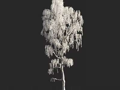 Snow Covered Arbor With Ice Laden Hanging Branches Against Dark Background 3d model