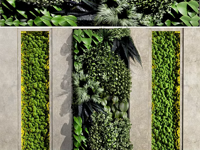 Lush Green Living Wall Design With Diverse Plant Foliage And Vertical Arrangement 3d model