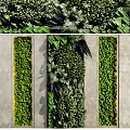 Lush Green Living Wall Design With Diverse Plant Foliage And Vertical Arrangement
