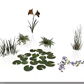 Modern Scene Plant Decoration Featuring Brown Flowers Green Grasses Water Lily Leaves And Purple Blooms