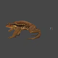 Realistic Brown Toad With Small Colorful Flying Device On Gray Background