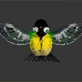 Colorful Bird With Spread Wings Black Head White Neck Yellow Belly Green And White Wings