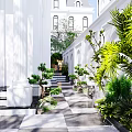 Elegant Garden Landscape With Black Iron Gate White Walls Shaped Tree And Checkered Path