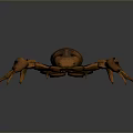 Realistic Brown Striped Scorpion 3D Model With Detailed Exoskeleton And Claws