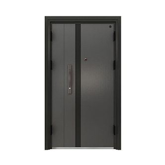 Modern simple texture gray child mother entrance door security door 3d model