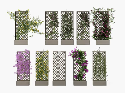 Vine Covered Trellis Designs With Colorful Climbing Plants For Garden Decoration 3d model