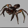 Realistic Spider With Brown Body Red Black Head And Green Orange Legs
