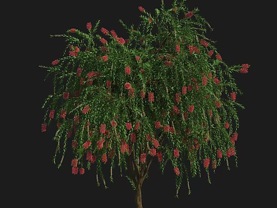 Vibrant Lush Shrub with Green Leaves Red Flowers and Drooping Branches 3d model