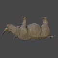 Realistic 3D Rhinoceros Model With Detailed Skin Texture And Horns