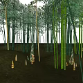 Tall Bamboo Forest With Green Shoots And Open Sky Over Grassland