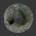 Tree Stump Covered With Green Moss And White Pebbles At The Base 3d model