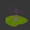 Green Plant With Large Green Leaves And White Bulbous Root On Green Leaf Base